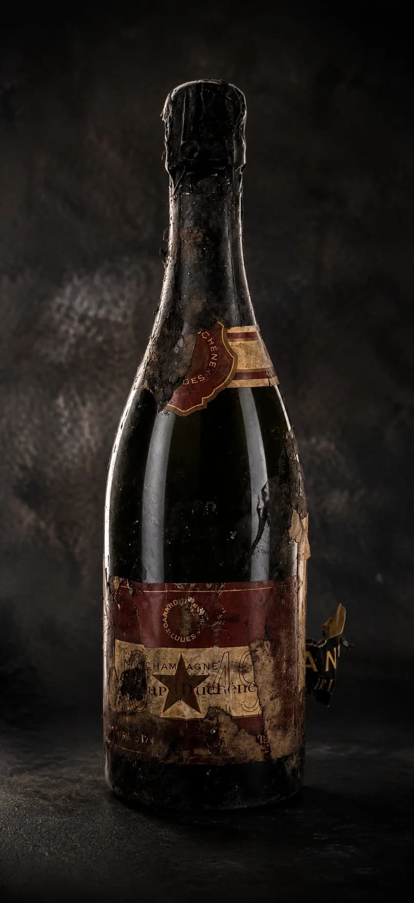 les "vieux" Champagnes