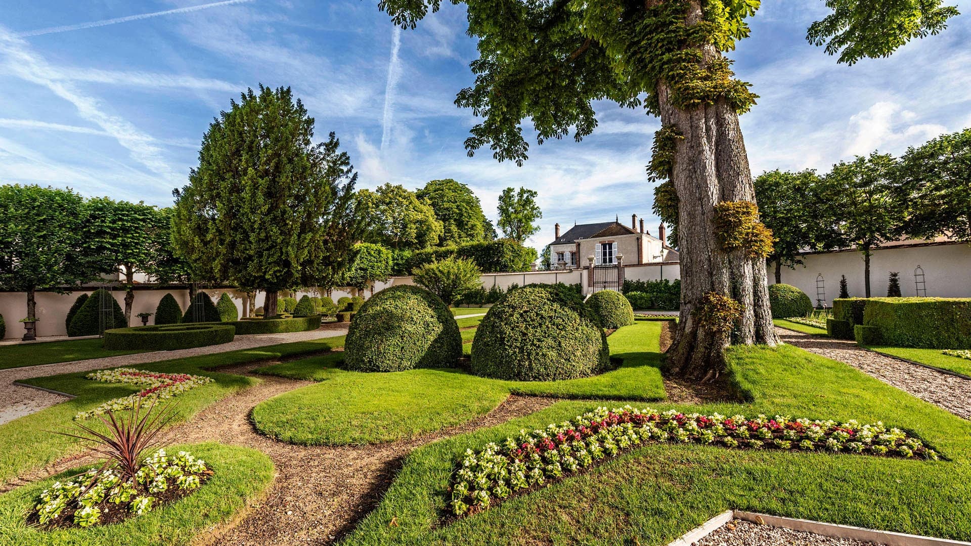 Champagne Billecart-Salmon : l'excellence familiale depuis 1818