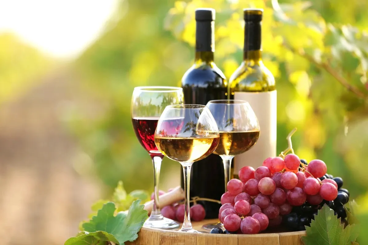 Top 10 des meilleurs vins à découvrir en 2026